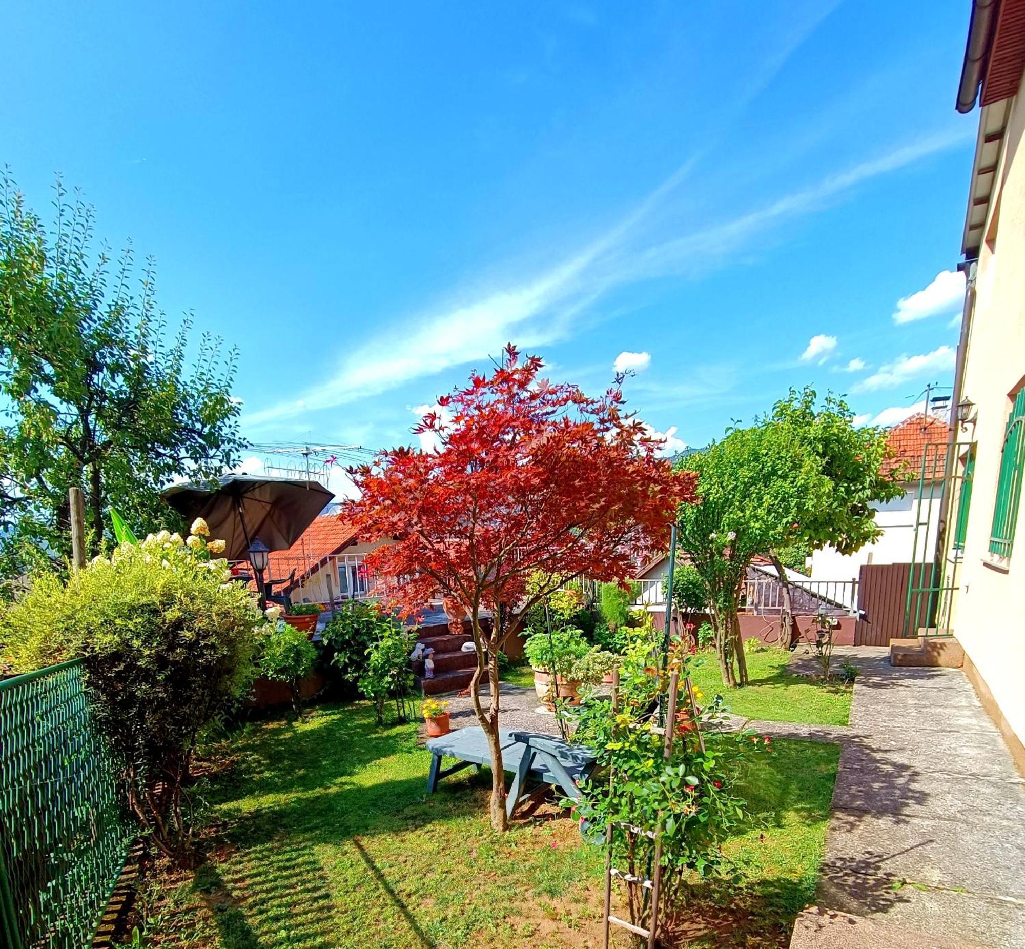 Apartmán Garden Free Parking SJJ Pokoj fotografie