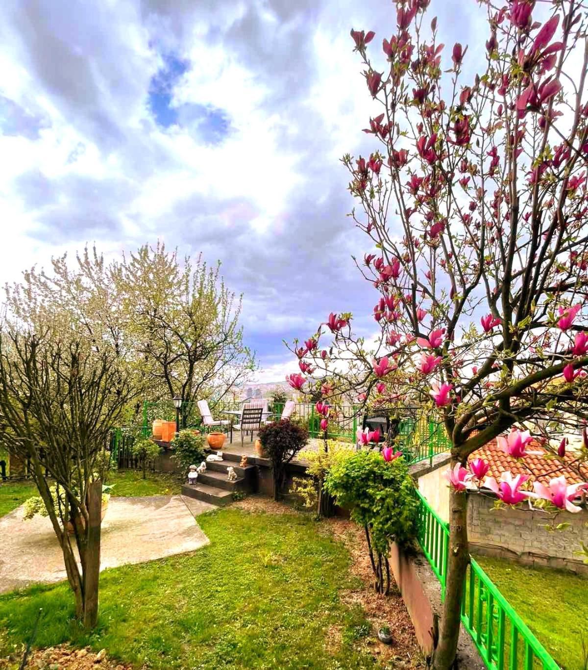 Apartmán Garden Free Parking SJJ Exteriér fotografie